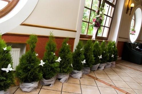 Hotel Jankow Żary Εξωτερικό φωτογραφία